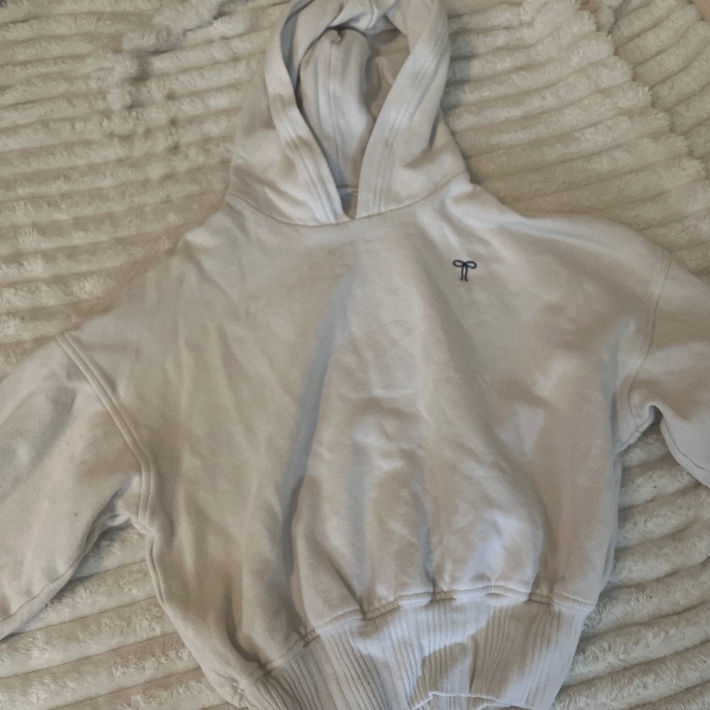 Aerie hoodie